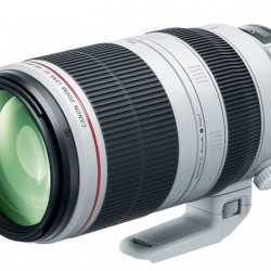 Canon EF 100-400mm f/4.5-5.6L IS II USM Lens