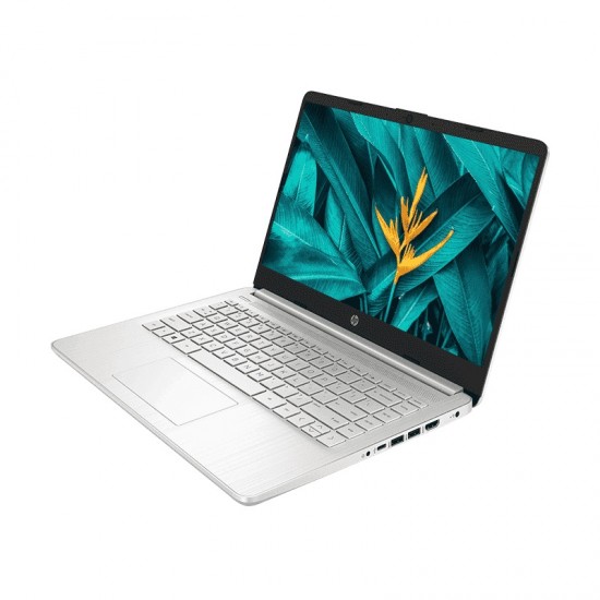 HP 14s-CF3063TU Core i3 10th Gen 14 HD Laptop