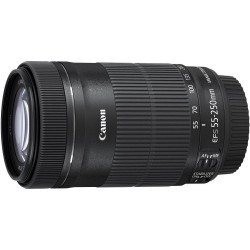 Canon EF-S 55-250mm f/4-5.6 IS STM Telephoto Zoom Lens