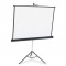 Apollo 70"x70" Tripod Projection Screen