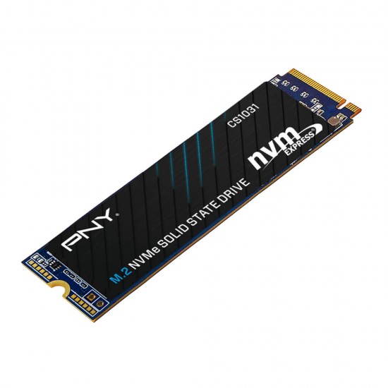 PNY CS1031 256GB M.2 NVMe SSD PNY CS1031 256GB M.2 NVMe SSD