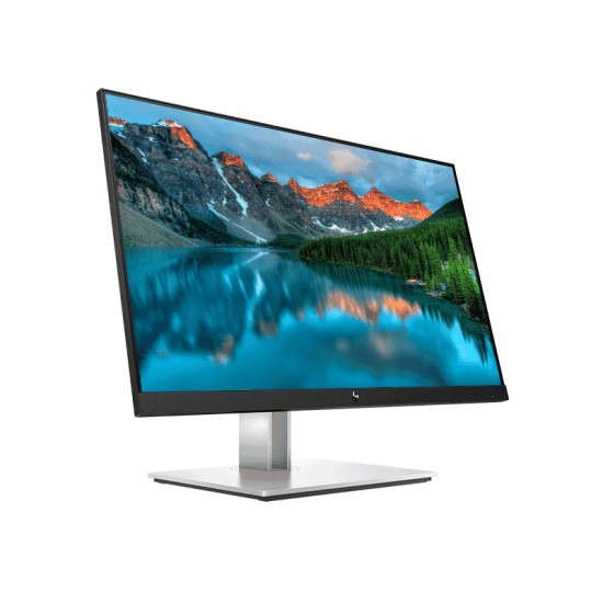 HP E24 G4 23.8 FHD IPS Monitor