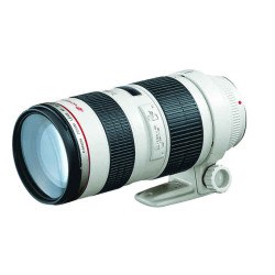 Canon EF 70-200mm f/2.8L USM Telephoto Zoom Lens