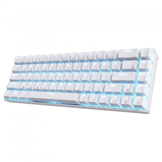 RK ROYAL KLUDGE RK68 Wired Mechanical Gaming Keyboard White