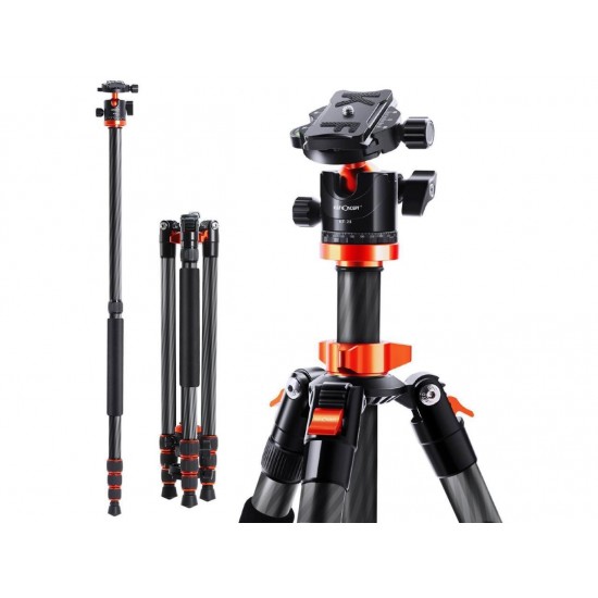 K&F Concept SA254C1 Professional Carbon Tripod