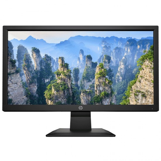 HP V20 19.5 HD+ LED TN Monitor