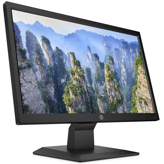 HP V20 19.5 HD+ LED TN Monitor