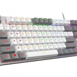 AULA F3287 TKL Mechanical Gaming Keyboard