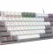 AULA F3287 TKL Mechanical Gaming Keyboard