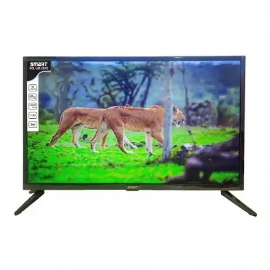 Smart SEL-24L22KS 24 HD Basic LED Television