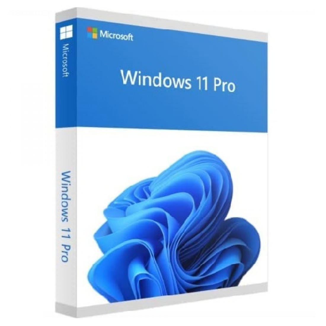 Buy Microsoft Windows 11 Professional 64 Bit ENG Intl 1PK DSP OEI DVD 