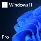 Microsoft Windows 11 Professional 64 Bit ENG Intl 1PK DSP OEI DVD